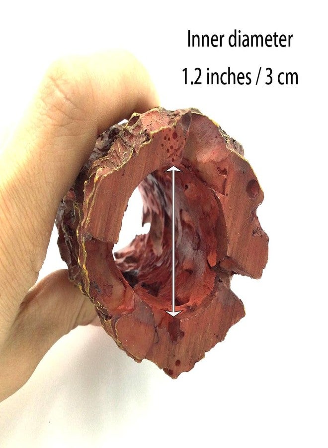 Shelltech Shrimp Hideout Resin Aquarium Decorations Hollow Log Hideaway for Shrimp, Mini Fish, Lizard, Gecko (Dark Brown, Mini) - Image 5